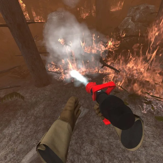 Wildfire