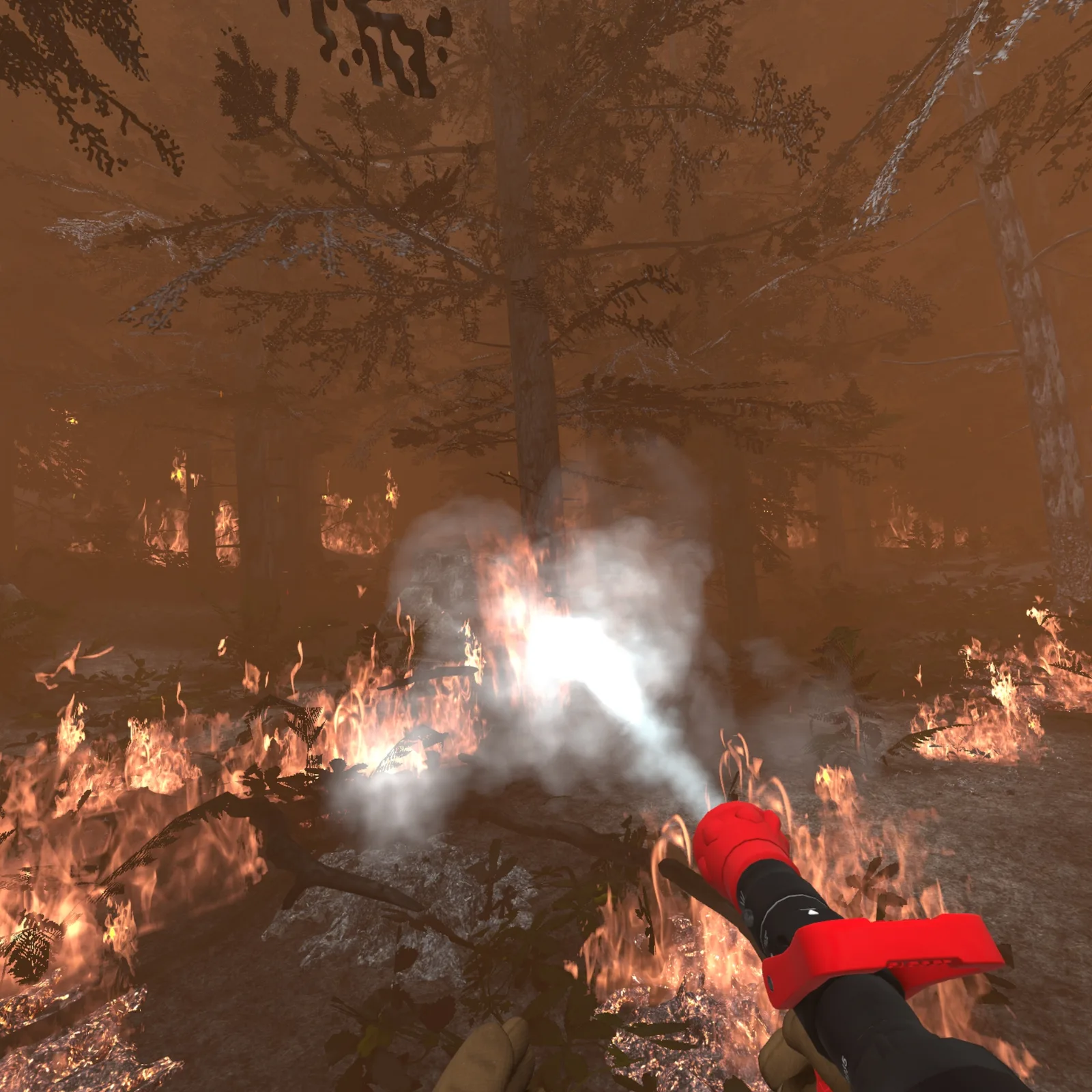 Wildfire 6
